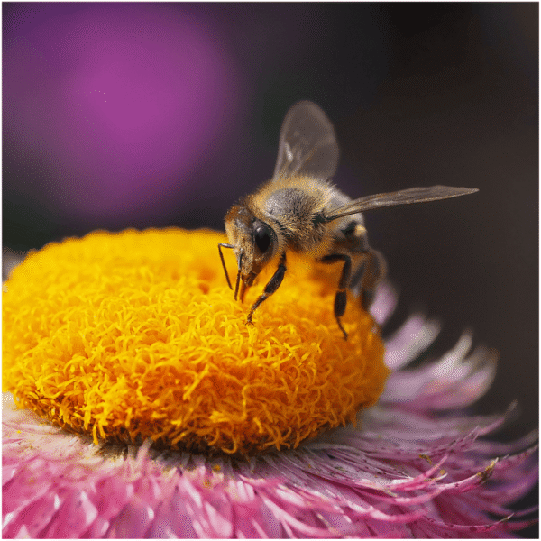 <span class="produit-sur-titre">Conférence</span> Au-delà des repères habituels : intervenir en exploitation sexuelle